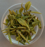 Long Jing Chayuen