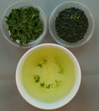 Sencha Sayama Kaori